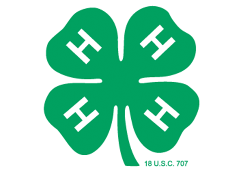 Logo for 2025 DOCLW 4-H Dog Show