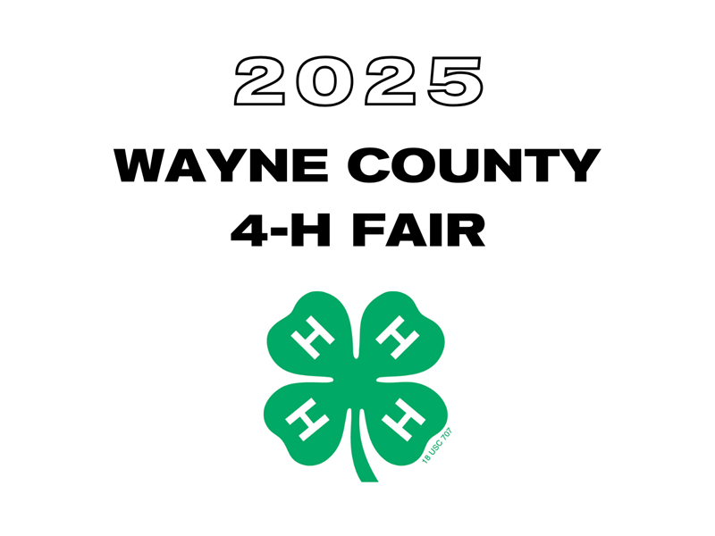 Logo for 2025 Wayne County Fair
