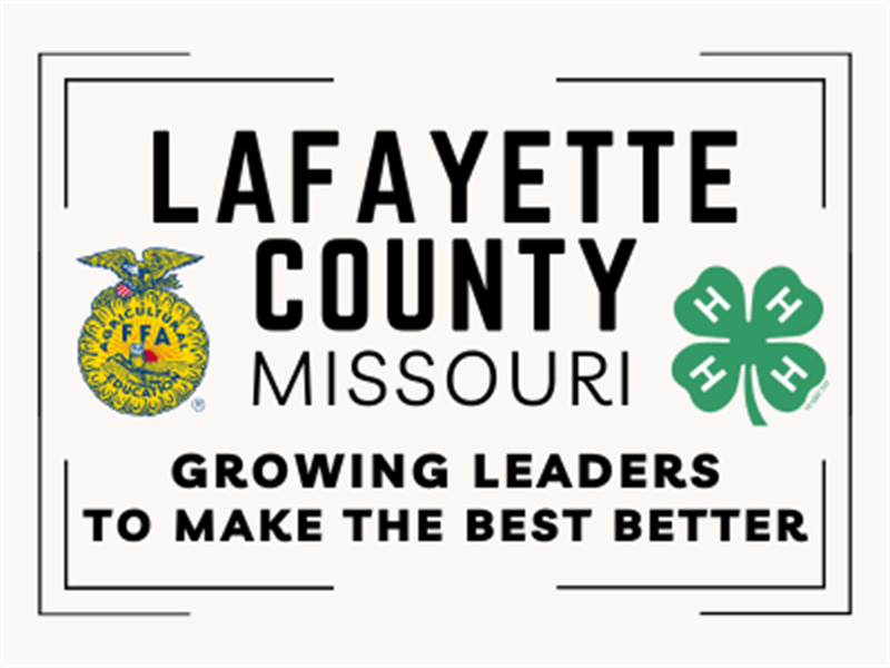 Logo for 2025 Lafayette County 4-H/FFA Fair