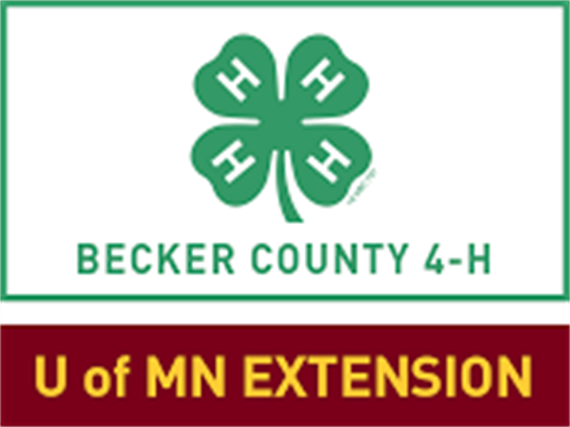 Logo for 2025 Becker County Fair