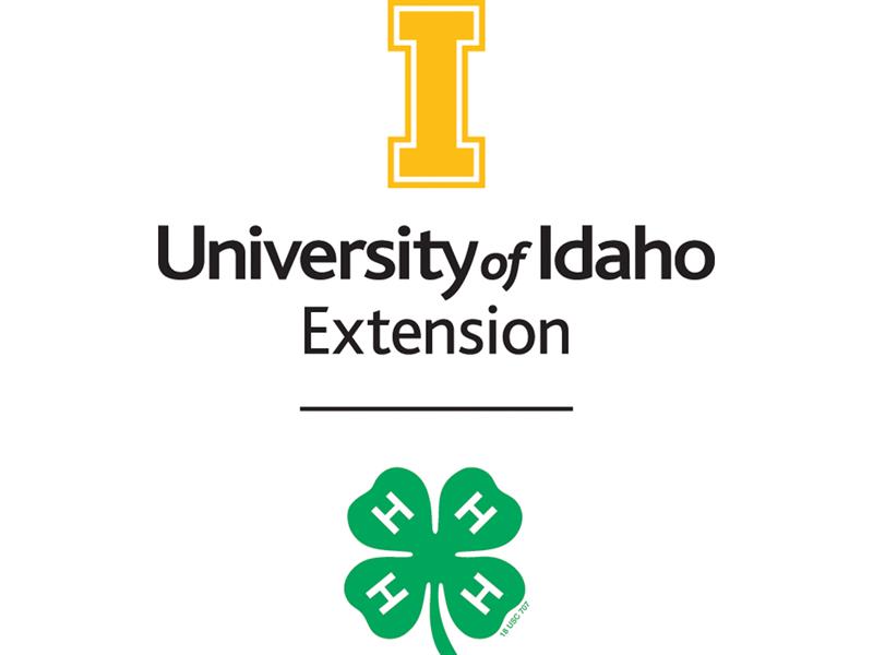 Logo for 2025 Twin Falls County Fair