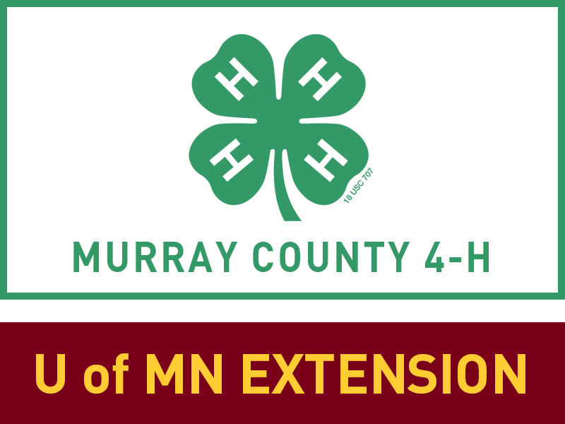Logo for 2025 Murray County Fair