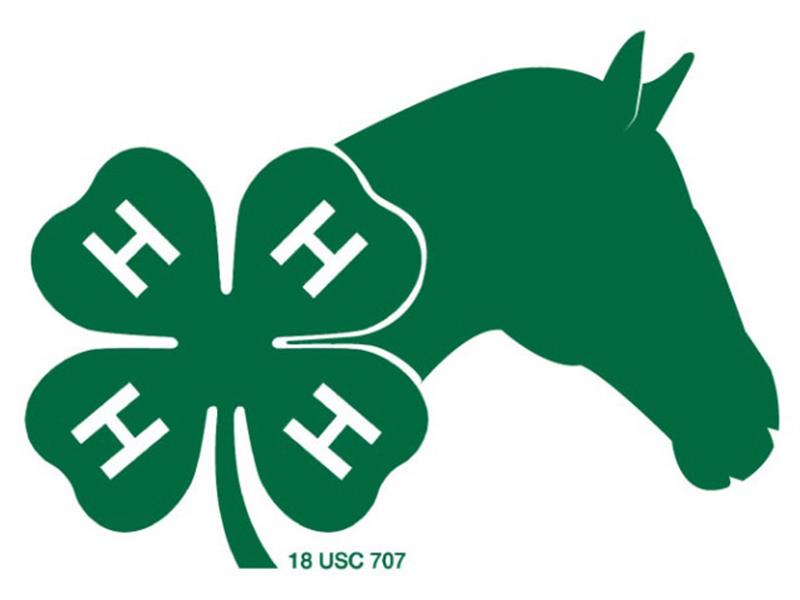Logo for 2025 Hamlin County 4-H Horse Show