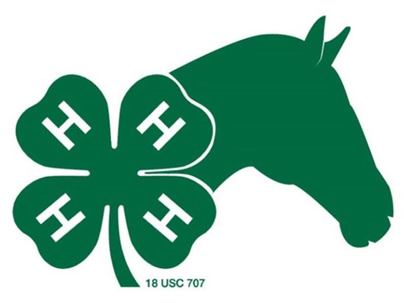 Logo for 2025 McCook County Horse Show