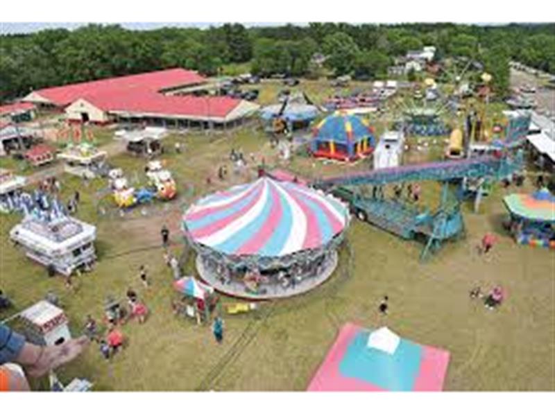 Logo for 2025 Colfax Free Fair