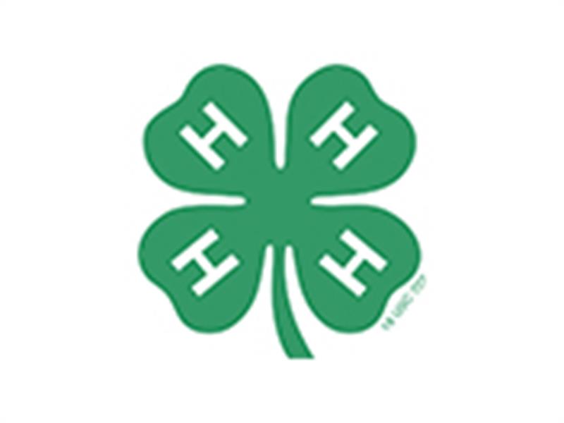 Logo for 2025 Kosciusko County Fair