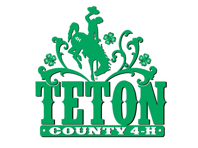Logo for 2025 Teton County Fair