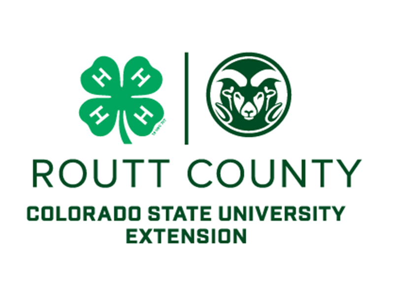 Logo for 2025 Routt County 4-H Fair