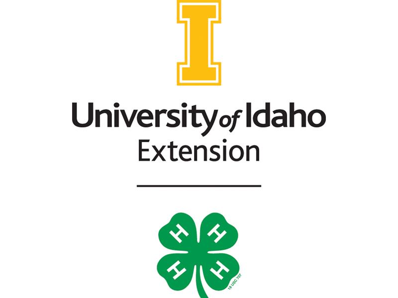 Logo for 2025 Bannock County 4-H Fair