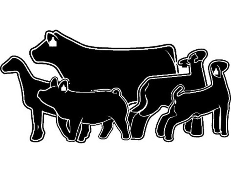 Logo for 2025 Sanpete County Jr. Livestock Show