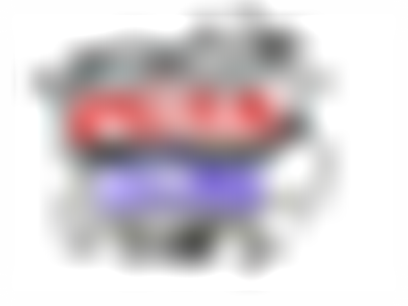 Logo for 2025 Sumter American Legion Fair